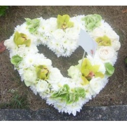 Sympathy 19 - Prices start from £65.00